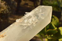 Natural Single Large Quartz Crystals  x 2 From Mandrosonoro, Madagascar - TopRock