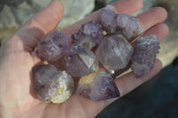 Natural Spirit Amethyst Quartz Crystal Specimens  x 35 From Boekenhouthoek, South Africa - Toprock Gemstones and Minerals 