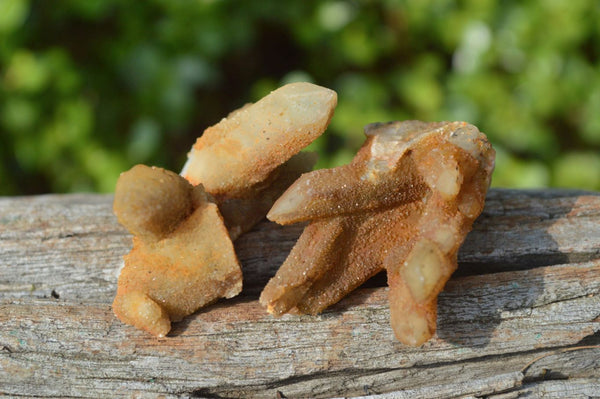 Natural Golden Limonite Fairy Spirit Quartz Finger Clusters x 35 From Boekenhouthoek, South Africa - TopRock