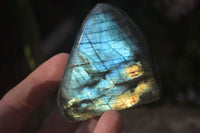 Polished Flashy Labradorite Standing Free Forms  x 6 From Tulear, Madagascar