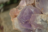 Natural Jacaranda Amethyst Cluster x 1 From Mumbwa, Zambia - TopRock