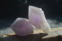 Natural Large Single Jacaranda Amethyst Crystals  x 12 From Mumbwa, Zambia - Toprock Gemstones and Minerals 