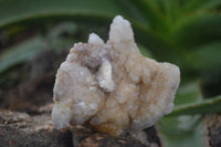 Natural Mixed Spirit Quartz Clusters  x 12 From Boekenhouthoek, South Africa - Toprock Gemstones and Minerals 