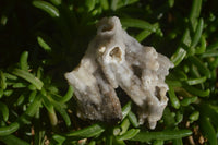 Natural Drusy Coated Quartz x 24 From Alberts Mountain, Lesotho