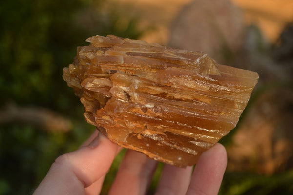 Natural Honey Aragonite Etched & Cobbed Pieces  x 6 From Namibia