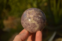 Polished Purple Lepidolite Spheres  x 6 From Madagascar