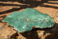 Polished Green Mtorolite Plates x 3 From Zimbabwe - TopRock