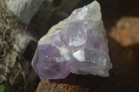 Natural Jacaranda Amethyst Clusters  x 3 From Mumbwa, Zambia - Toprock Gemstones and Minerals 