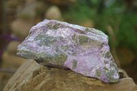 Natural Rough Stichtite & Serpentine Specimens x 6 From Barberton, South Africa