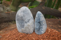 Polished Blue Celestite Standing Free Forms  x 2 From Sakoany, Madagascar - Toprock Gemstones and Minerals 