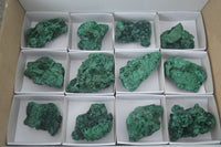 Natural Chatoyant Silky Malachite Specimens  x 12 From Kasompe, Congo - Toprock Gemstones and Minerals 