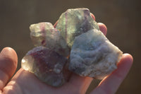 Natural Rough Watermelon Fluorite Cobbed Specimens  x 35 From Uis, Namibia