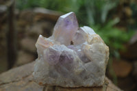 Natural Jacaranda Amethyst Clusters  x 3 From Zambia - TopRock