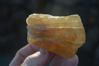 Natural Honey Aragonite Etched & Cobbed Pieces  x 12 From Namibia - Toprock Gemstones and Minerals 