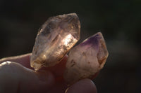 Natural Mini Smokey Amethyst Crystals  x 70 From Chiredzi, Zimbabwe - Toprock Gemstones and Minerals 