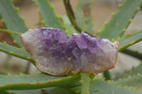 Natural Amethyst & Crystal Centred Geodes  x 12 From Zululand, South Africa - TopRock