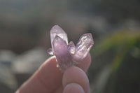 Natural Skeletal & Sceptre Window Amethyst Crystals  x 35 From Chiredzi, Zimbabwe