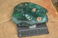 Polished Green Mtorolite / Emerald Chrome Chrysoprase Slices  x 3 From Zimbabwe - TopRock