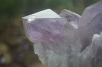 Natural Large Jacaranda Amethyst Crystal Cluster  x 1 From Mumbwa, Zambia - Toprock Gemstones and Minerals 