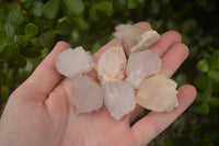 Natural Single White Cactus Quartz Crystals x 70 From Boekenhouthoek, South Africa