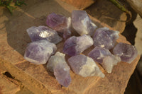 Natural Jacaranda Amethyst Single Crystal Specimens x 12 From Mumbwe, Zambia