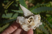 Natural Drusy Coated Quartz x 24 From Alberts Mountain, Lesotho