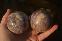 Polished Purple Lepidolite Spheres  x 6 From Madagascar