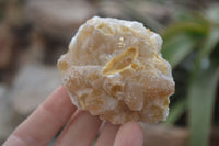 Natural Golden Limonite Quartz Clusters x 24 From Zambia