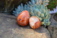 Polished Small Carnelian Agate Eggs  x 12 From Madagascar - TopRock