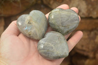 Polished Purple Flash Labradorite Hearts x 6 From Tulear, Madagascar - TopRock