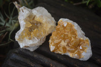 Natural Golden Limonite Quartz Clusters x 24 From Zambia