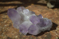 Natural Jacaranda Amethyst Clusters  x 3 From Mumbwa, Zambia - Toprock Gemstones and Minerals 