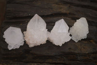 Natural Single White Cactus Quartz Crystals x 70 From Boekenhouthoek, South Africa