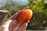 Polished Small Carnelian Agate Eggs  x 12 From Madagascar - TopRock