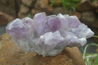 Natural Large Jacaranda Amethyst Crystal Cluster  x 1 From Mumbwa, Zambia - Toprock Gemstones and Minerals 