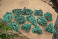 Natural Chatoyant Silky Malachite Specimens  x 12 From Kasompe, Congo - Toprock Gemstones and Minerals 