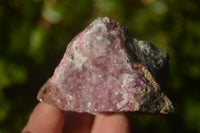 Natural Salrose Cobaltion Dolomite Specimens x 12 From Kakanda, Congo