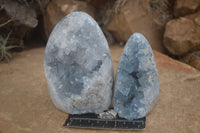 Polished Blue Celestite Standing Free Forms  x 2 From Sakoany, Madagascar - Toprock Gemstones and Minerals 