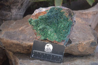 Natural Crystalline Malachite Specimens  x 2 From Congo - Toprock Gemstones and Minerals 