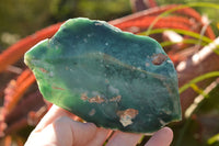 Polished Green Mtorolite Plates x 3 From Zimbabwe - TopRock