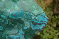 Polished XXL Malacholla (Chrysocolla & Malachite) Standing Display Piece  x 1 From Congo - TopRock