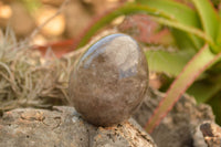 Polished Large Morion Smokey Quartz Eggs x 4 From Madagascar - TopRock