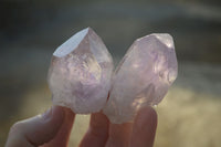 Natural Jacaranda Amethyst Single Crystal Specimens x 12 From Mumbwe, Zambia