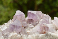 Natural Jacaranda Amethyst Quartz Cluster  x 1 From Zambia - TopRock