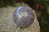 Polished Purple Lepidolite Spheres  x 6 From Madagascar