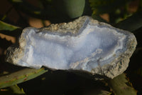 Natural Blue Lace Agate Geode Specimens  x 12 From Nsanje, Malawi