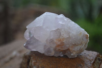 Natural Mixed Spirit Quartz Clusters  x 12 From Boekenhouthoek, South Africa - Toprock Gemstones and Minerals 