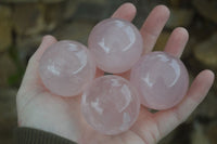 Polished Gemmy Pink Rose Quartz Spheres  x 6 From Ambatondrazaka, Madagascar - Toprock Gemstones and Minerals 