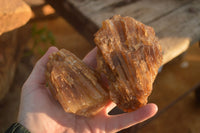 Natural Honey Aragonite Etched & Cobbed Pieces  x 6 From Namibia