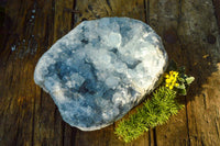 Natural Blue Celestite Cluster With Large Cubic Crystals x 1 From Sakoany, Madagascar - TopRock